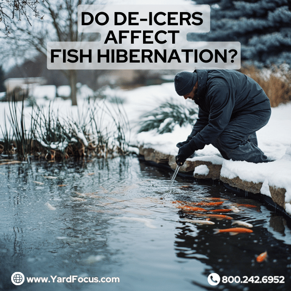 Do de-icers affect fish hibernation?