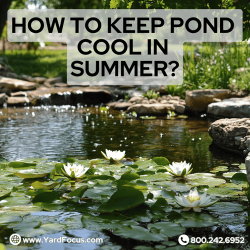 how to keep pond cool in summer