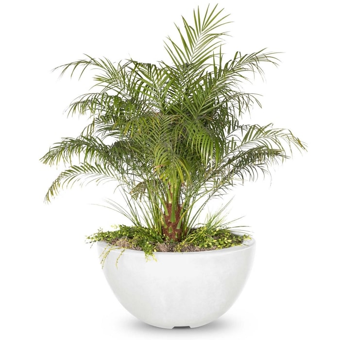 30" Luna GFRC Planter Bowl in White Limestone