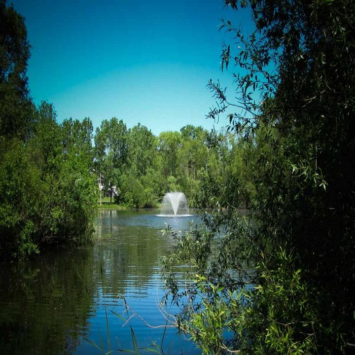 Scott Aerator North Star Fountain Aerator 1.5HP 230V with Trees Everywhere