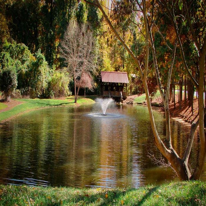 Picture of the Scott Aerator DA-20 Display Fountain Aerator 1/2HP put in a Pond with a House and Tress