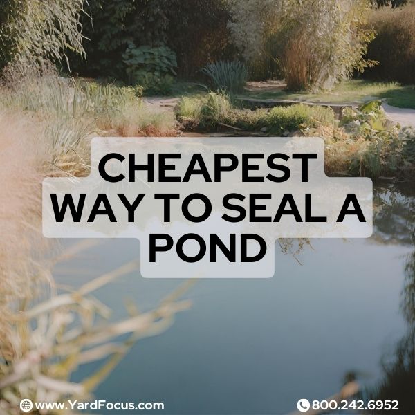 Cheapest way to seal a pond