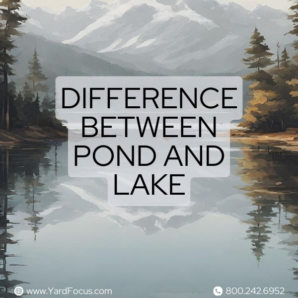 Difference between pond and lake