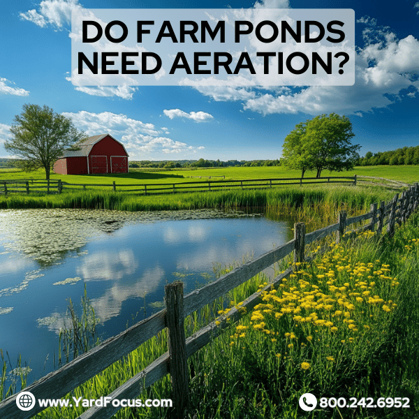 Do farm ponds need aeration?