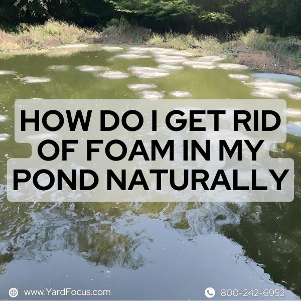 How Do I Get Rid Of Foam In My Pond Naturally