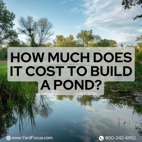 How Much Does it Cost to Build a Pond Costs Revealed Yard Focus