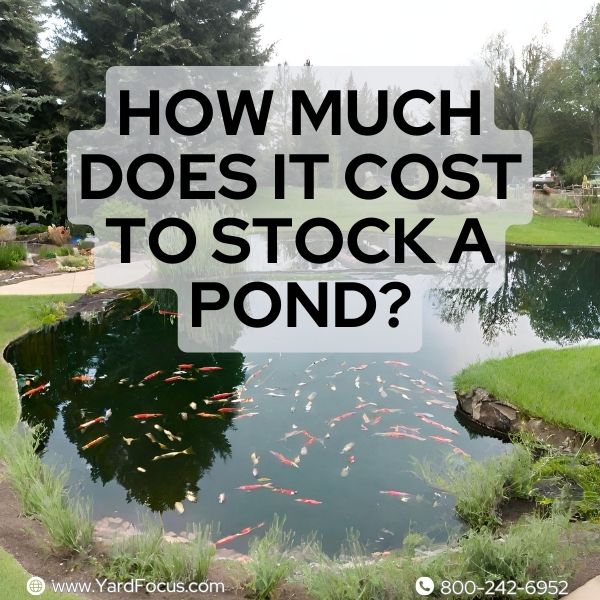 How much does it cost to stock a pond?