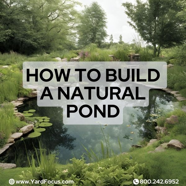 How to build a natural pond