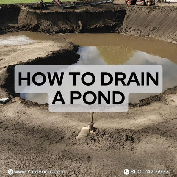 How to Drain a Pond Easily and Effectively — Yard Focus
