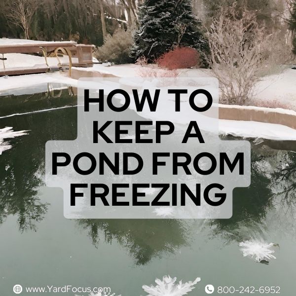 How to keep a pond from freezing