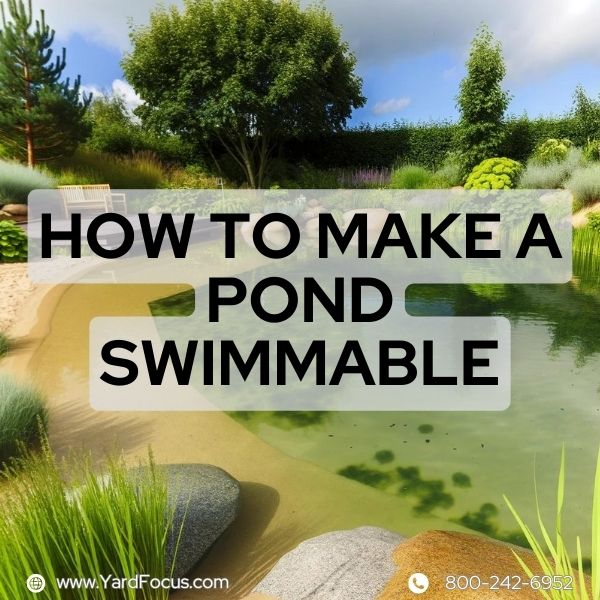 How to make a pond swimmable
