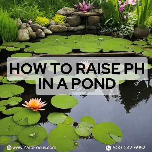 How To Raise pH In A Pond Boost Your Pond's Health Yard Focus