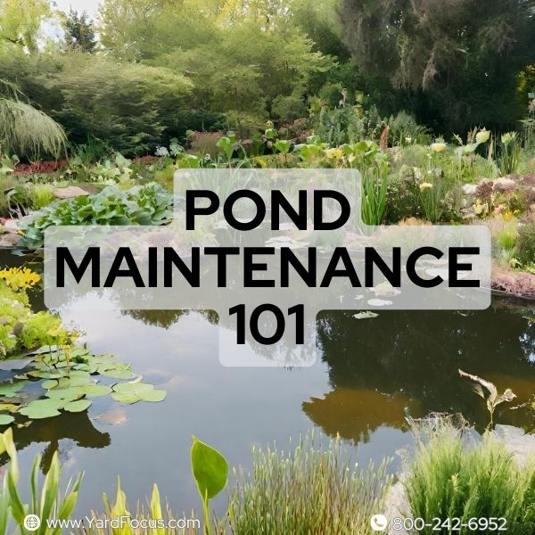 Pond Maintenance 101