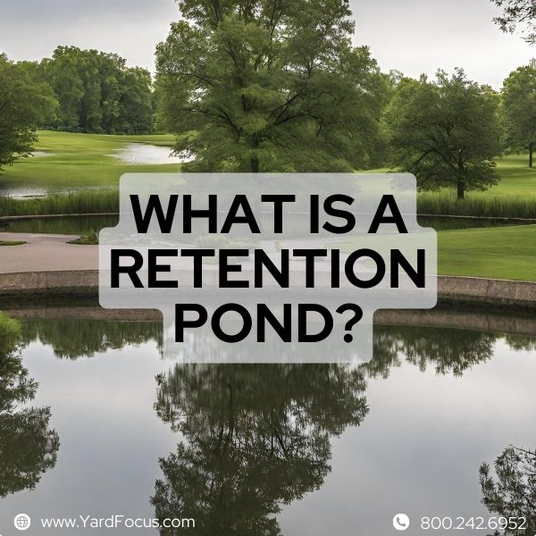 What is a retention pond?