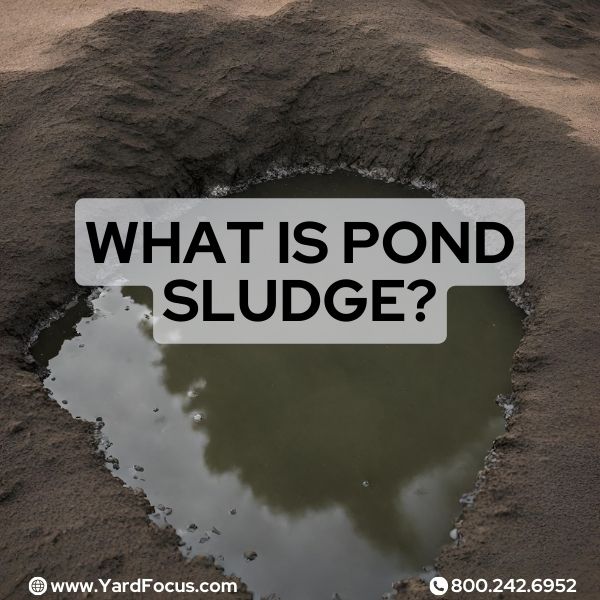 What is pond sludge?