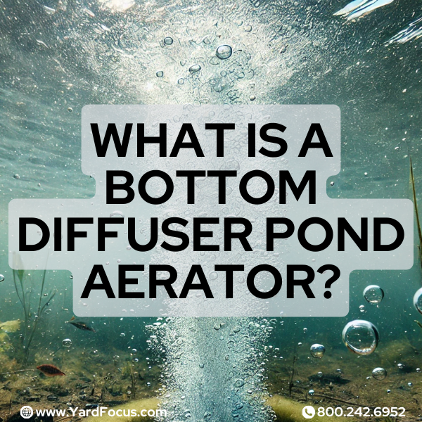 What Is A Bottom Diffuser: Discover the Benefits — Tagged 