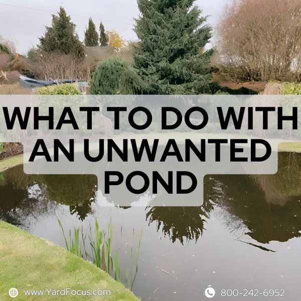 What To Do With An Unwanted Pond