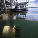 A shallow water kit above the water and a Kaasco AquatiClear circulator under the water surface..