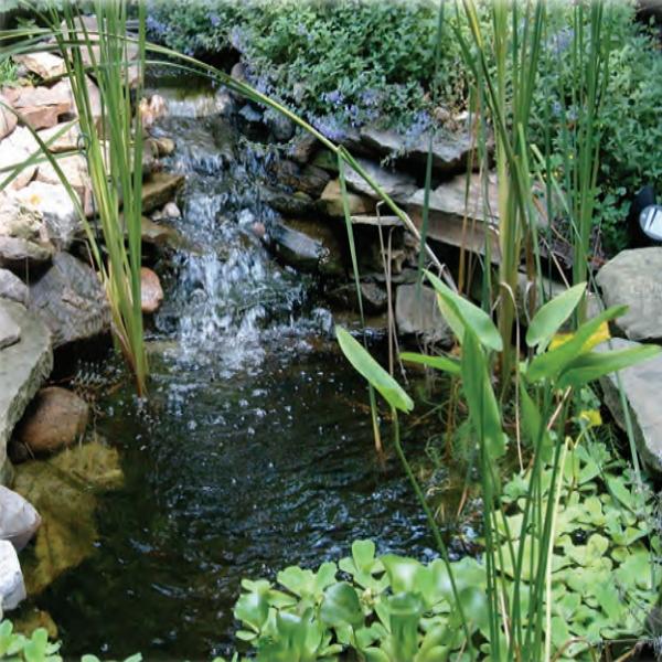 EasyPro Pro Series Medium Pond Kit 21' x 21' [EM2121FB] in a Nice Pond