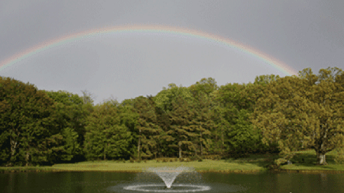 F1000F Pond Fountain with Rainbow in the Sky