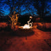 Fire Surfer Stainless Steel Fire Pit by Fire Pit Art with Plants Beside the Fire Pit