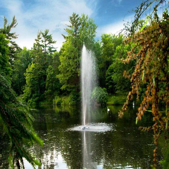 Scott Aerator Gusher Pond Fountain 1/2HP Shooting Very High Water with Tall Trees Everywhere