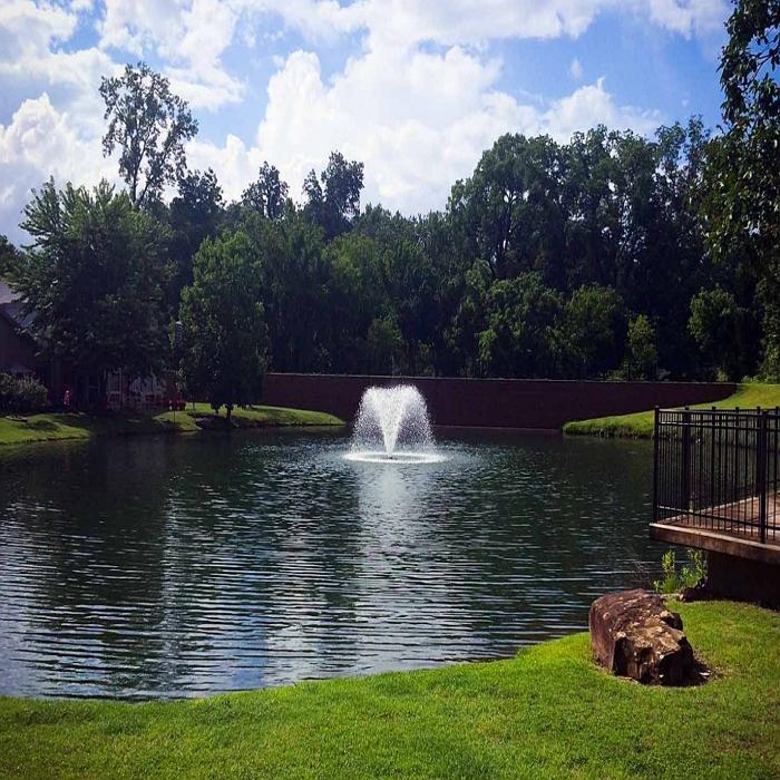 Image of the Scott Aerator North Star Fountain Aerator 2HP 230V in a Pond with Trees and Green Grasses
