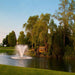 Picture of Scott Aerator DA-20 Display Fountain Aerator 1.5HP 230V at the Pond