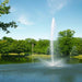 Scott Aerator Skyward Pond Fountain 1.5HP 230V place in a Pond with Different Kind of Trees